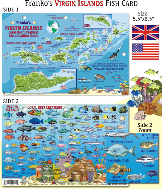 Franko Maps - Virgin Islands Fish ID