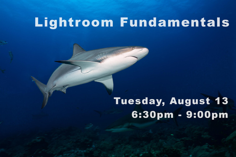 Introduction to Adobe Lightroom Fundamentals